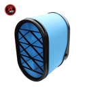 FILTRO  AIRE PRIMARIO OBLONGO AF4208 / P621983 / RE261960 / 47429528 / AFD621983