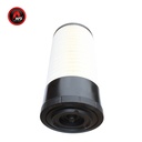 FILTRO AIRE PRIMARIO P628805 / 11K621110 / 47850029 / AFD628805