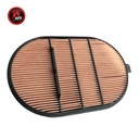 FILTRO AIRE SECUNDARIO 1636301442 / P607557 / PA5792 / 56040822 / AF4201 / AFD607557