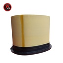 FILTRO AIRE PRIMARIO P635903 / 2788275 / 4288978M1 / AFD2788275