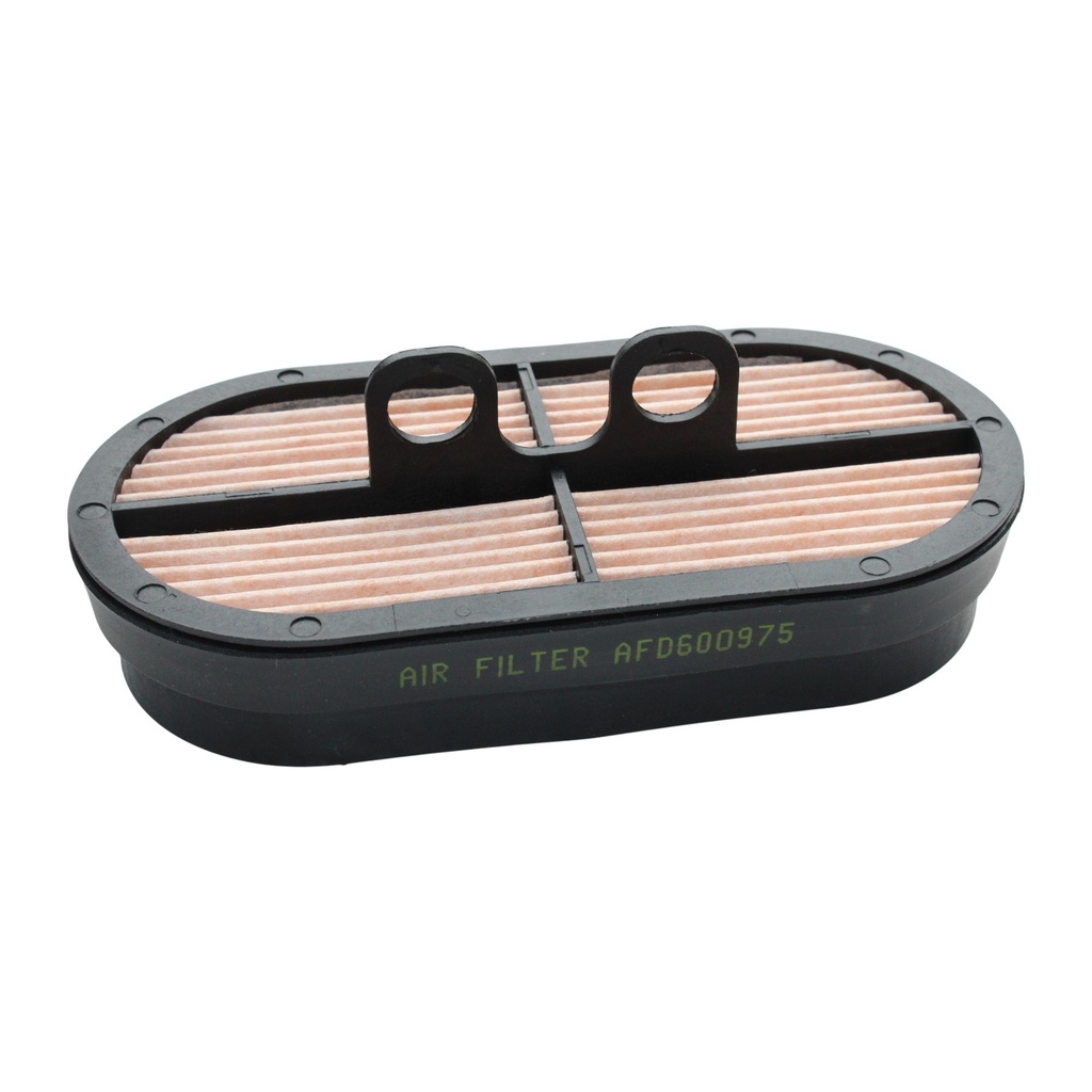 FILTRO AIRE SECUNDARIO RE253519 / P600975 / 32/925683 / AF26655 / PA5451 / AFD600975