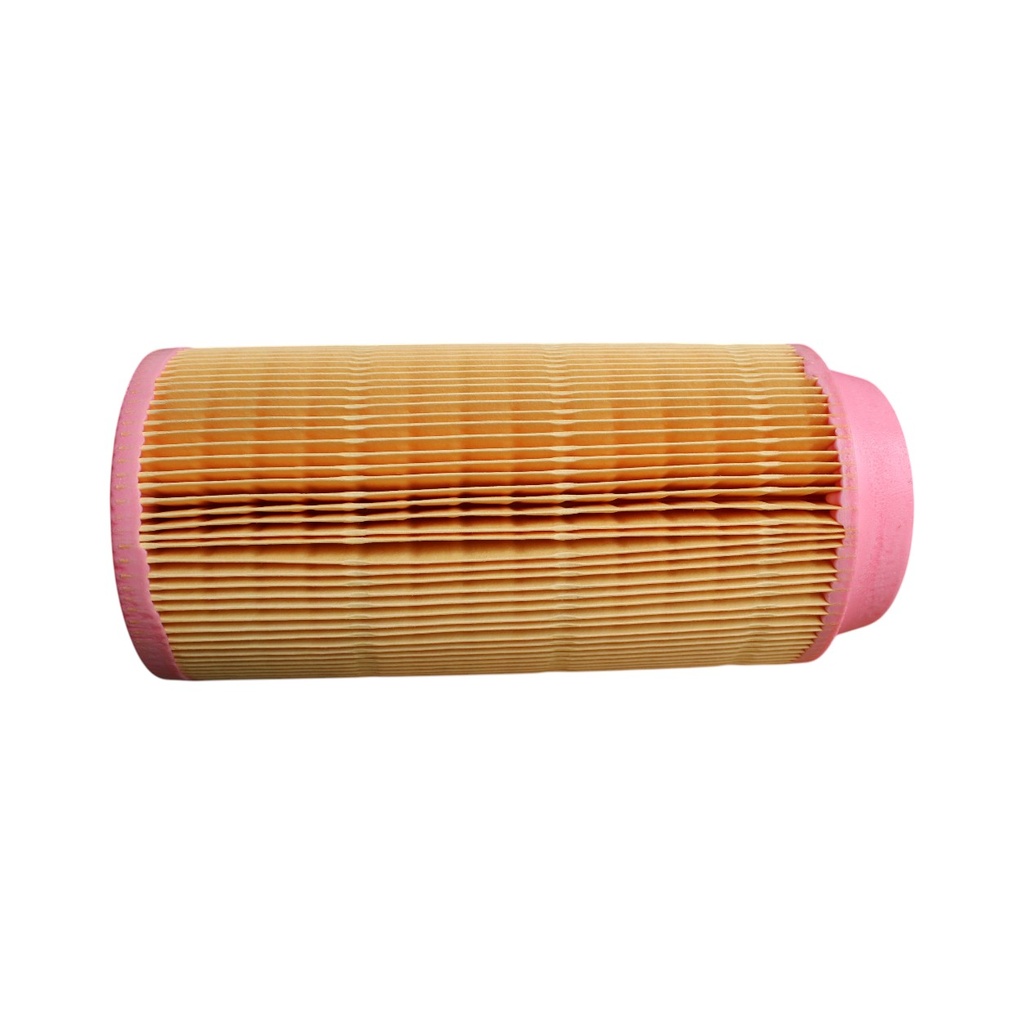 FILTRO  AIRE PRIMARIO MANN / AFD788979 / AF26387 / P778979 / C11100