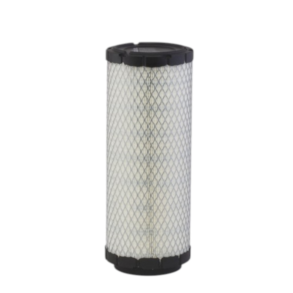 [P954603] FILTRO  AIRE PRIMARIO RS5449 / AF26659 /  135326205 / P954603