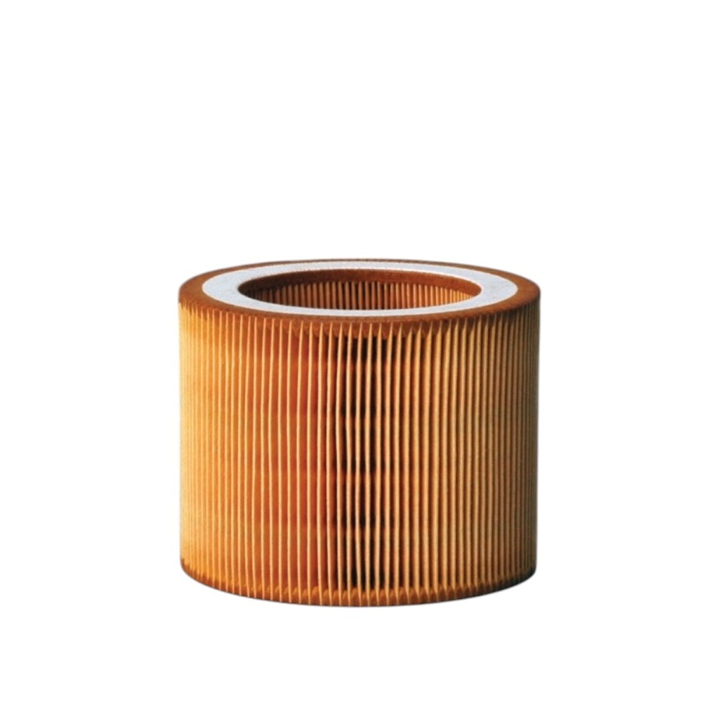 FILTRO AIRE PRIMARIO 1613900100 / 0009891311 / P784578