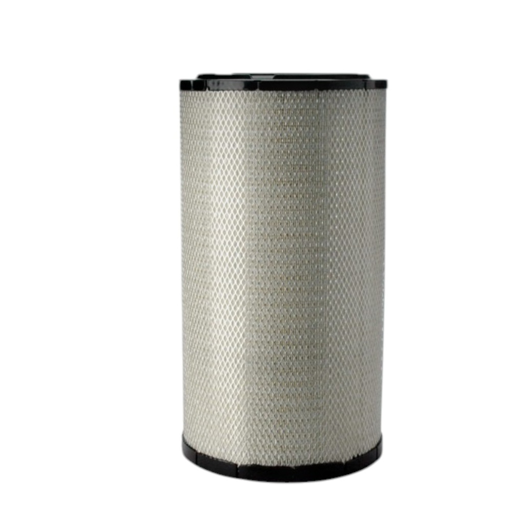 [P777871] FILTRO AIRE PRIMARIO AF25619 / 15272252 / 1517737 / P777871