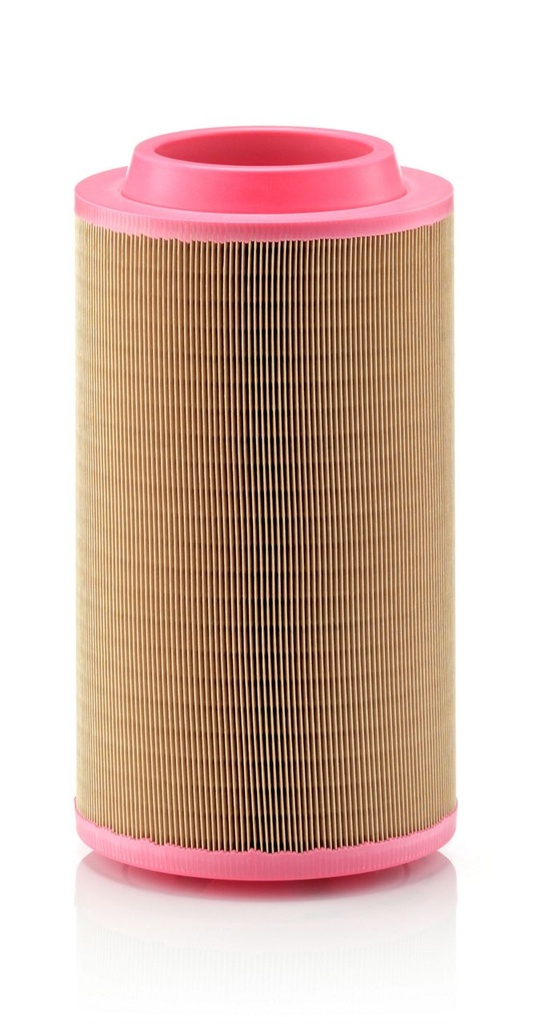[C23610] FILTRO AIRE PRIMARIO P782104 / AF26397 / C23610