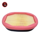 FILTRO AIRE SECUNDARIO  2277449 / P785965 / AF26248 / PA4997 / AFD2277449