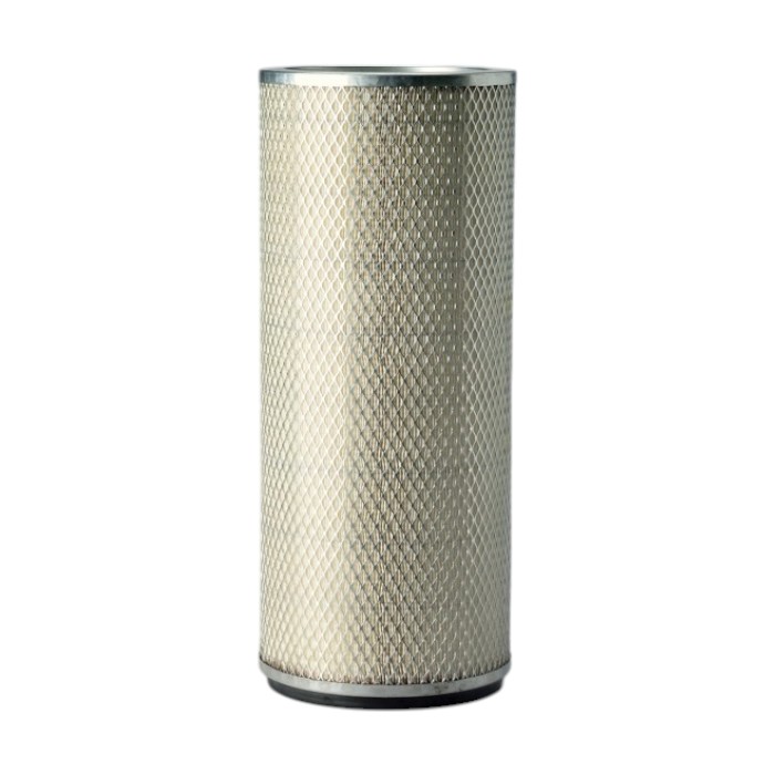 [P124860] FILTRO AIRE SECUNDARIO  AF1894M / 9091711 / P124860