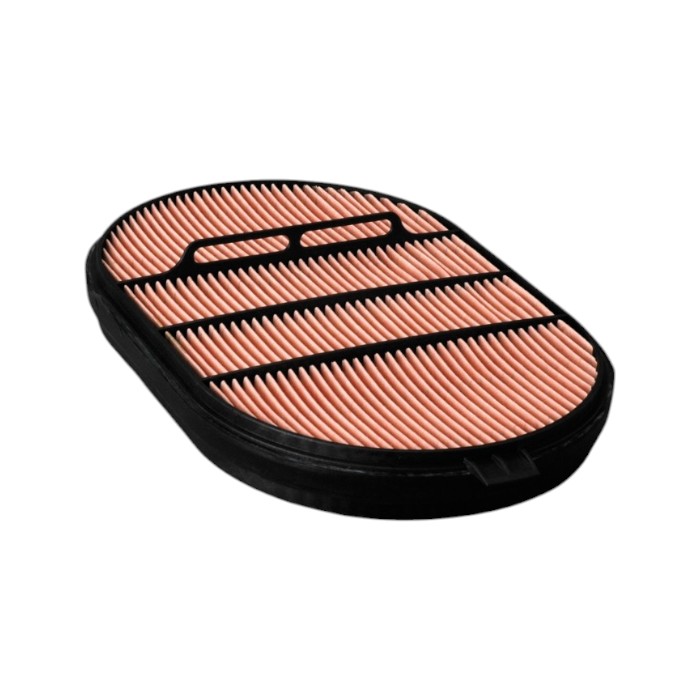FILTRO AIRE SECUNDARIO DONALDSON 1636301442 / 56040822 / AFD607557 / AF4201 / P607557