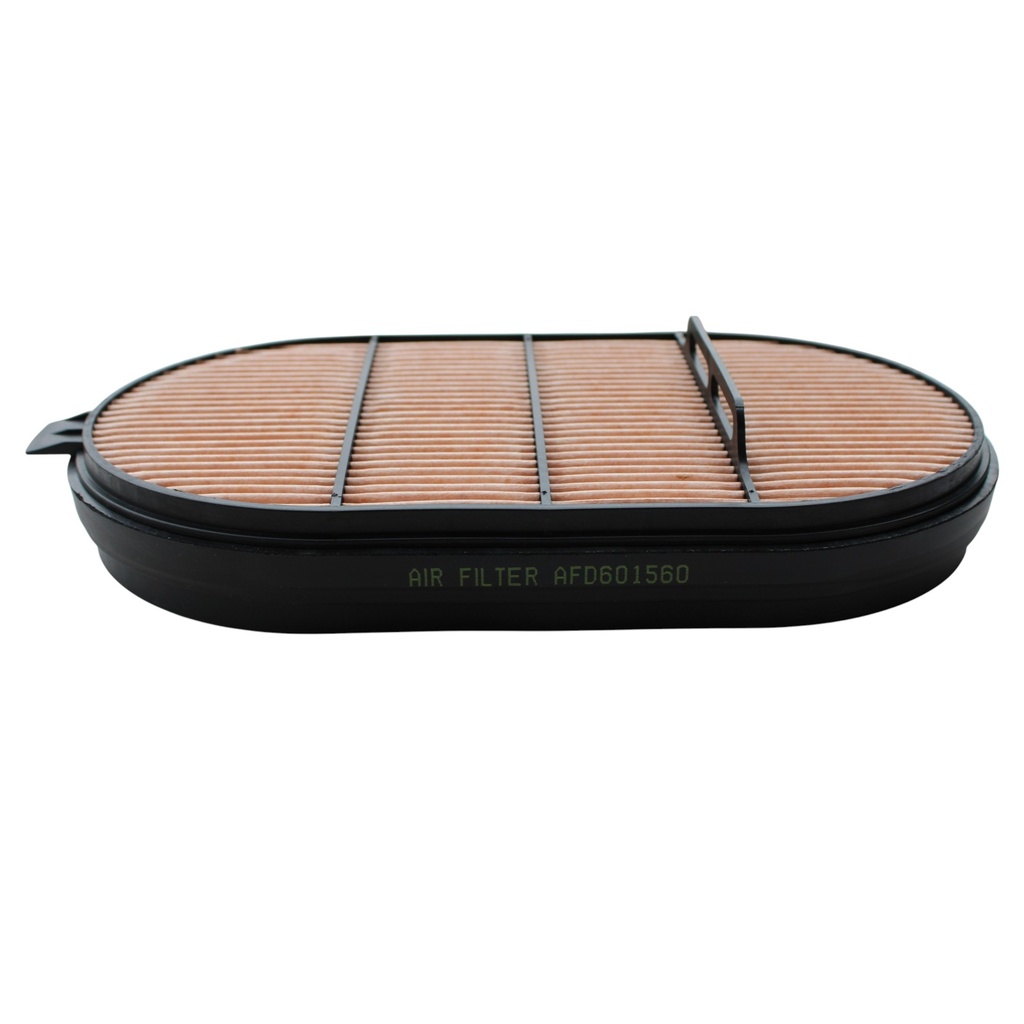 FILTRO AIRE SECUNDARIO CA601560 / 2914508200 /  AF4199 / R036899-102 / P601560 / AFD601560