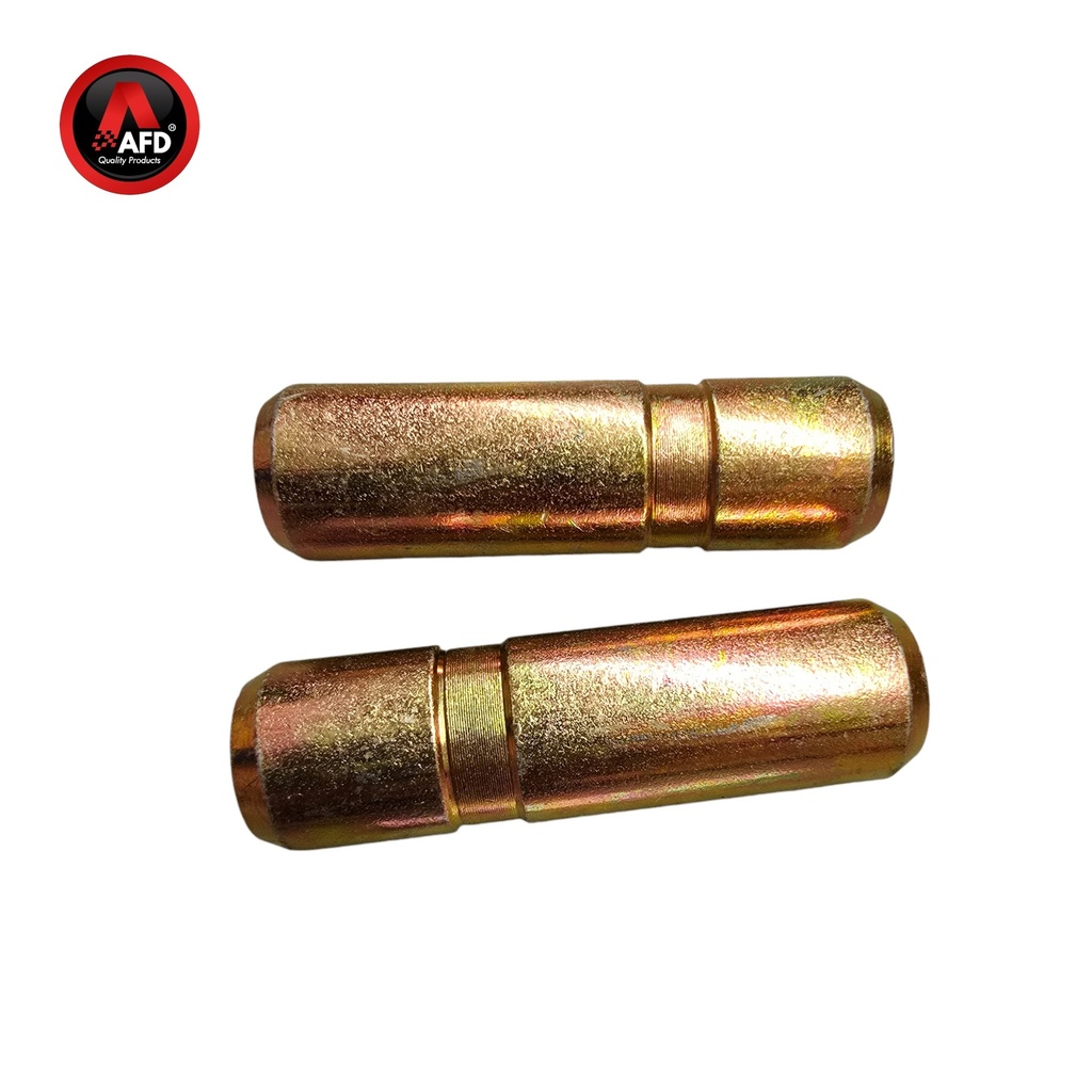 PIN CANTONERA (1662877) 1320998 / AFD1320998