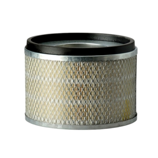 [P181125] FILTRO  AIRE PRIMARIO 7N9028 / AF1890M / P181125