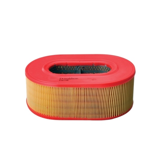 [P781746] FILTRO AIRE PRIMARIO 1G7197 / AF25322 / P781746