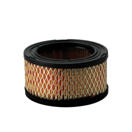 [P528206] FILTRO AIRE PRIMARIO AF1651 / AM30800 / 3I1553 / P528206