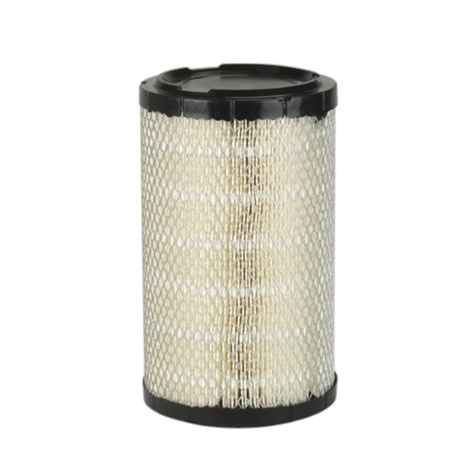 [P536733] FILTRO AIRE PRIMARIO AF25258 / P536733