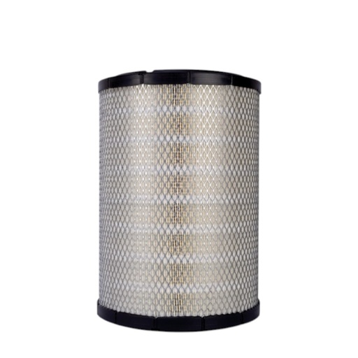 [P536457] FILTRO AIRE PRIMARIO AF25589 / 1318822 P536457