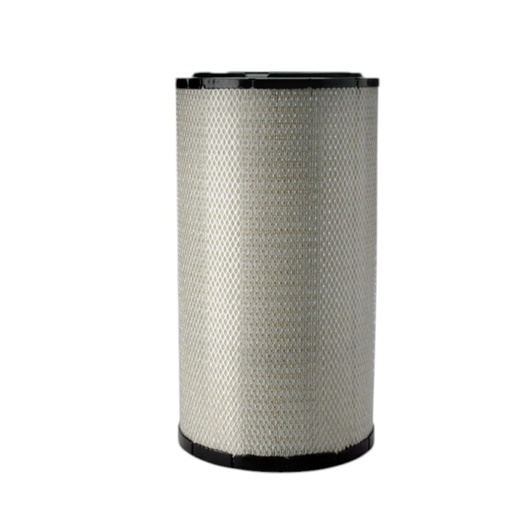 [P777871] FILTRO AIRE PRIMARIO AF25619 / 15272252 / 1517737 / P777871