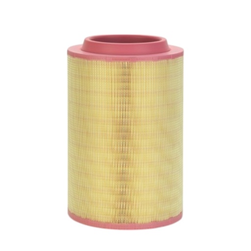 [P782880] FILTRO AIRE PRIMARIO AF25876 / 10301827 / P782880
