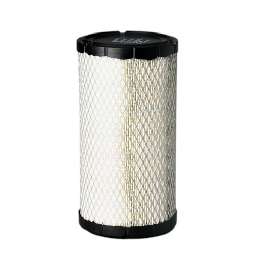 [P782299] FILTRO AIRE PRIMARIO AF25890 / 380295 / P782299