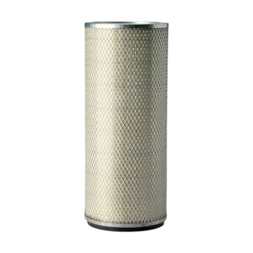 [P124860] FILTRO AIRE SECUNDARIO  AF1894M / 9091711 / P124860