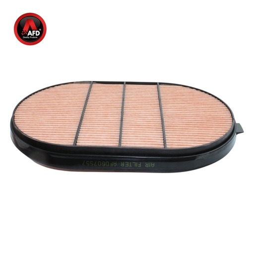 [AFD607557] FILTRO AIRE SECUNDARIO AFD 1636301442 / P607557 / PA5792 / 56040822 / AF4201 / AFD607557