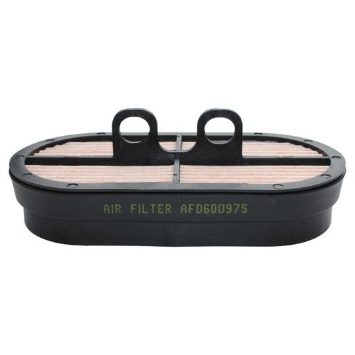 [AFD600975] FILTRO AIRE SECUNDARIO RE253519 / P600975 / 32/925683 / AF26655 / PA5451 / AFD600975